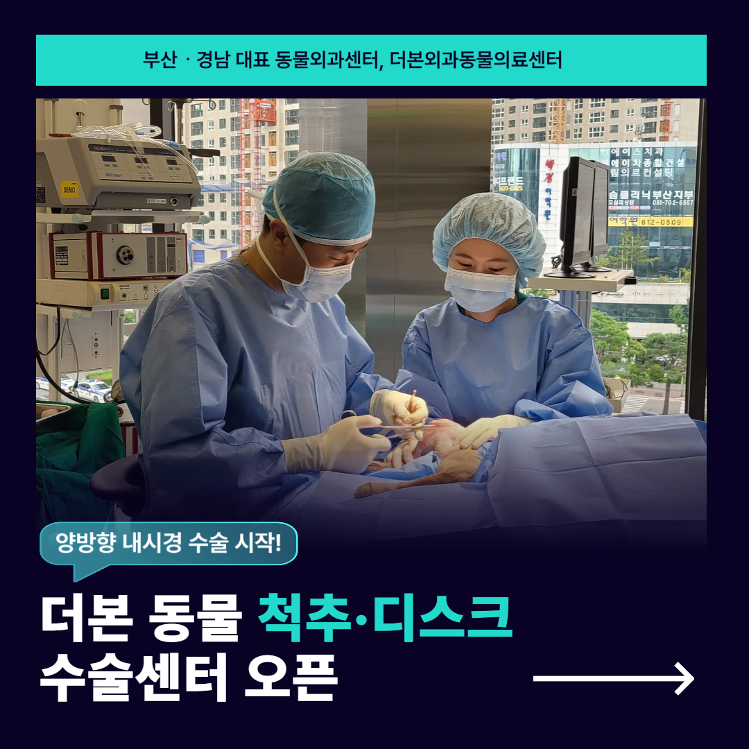 디스크센터 오픈